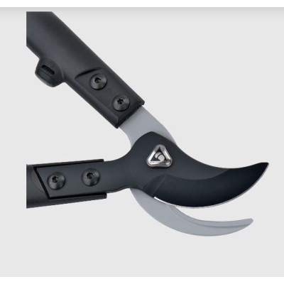 copy of  BELLOTA - 3